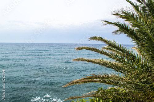 Sea view from the mountain. Palm leaves in the frame. Montenegro. The Budva Riviera