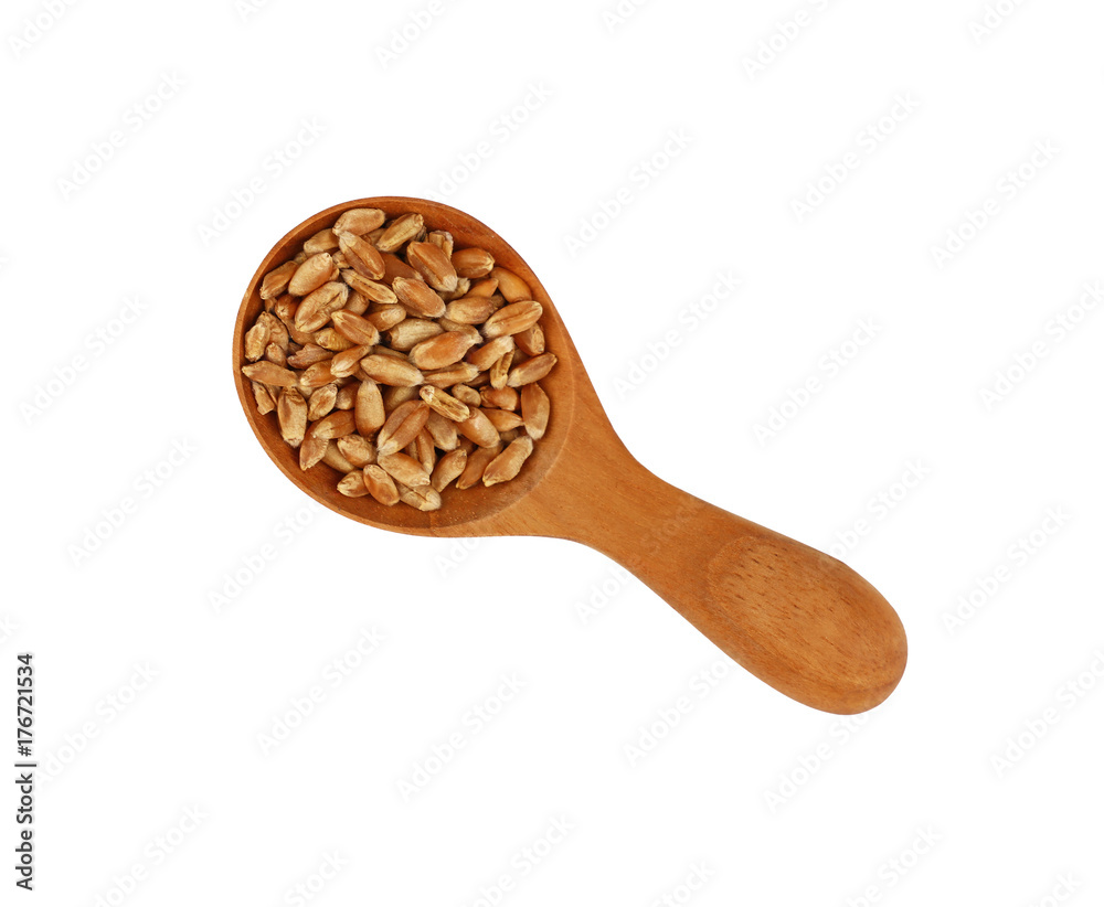 Wheat grain close up in wooden scoop on white