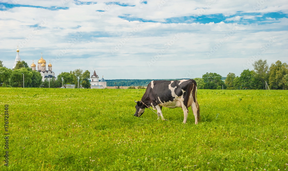 Russian rural landscape with monastery and cow in a meadow Russian rural landscape with monastery and cow in a meadow