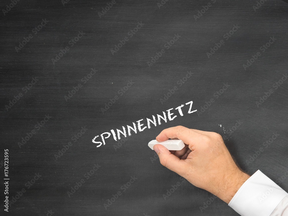 Spinnennetz
