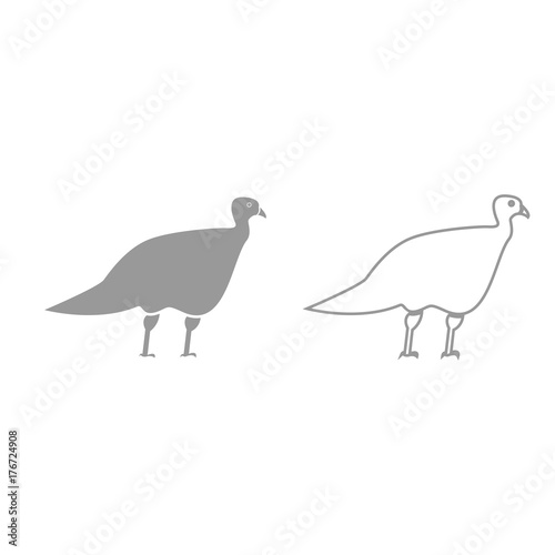Turkeycock grey set icon .