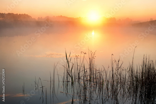 Canvas Print Misty sunrise over lake