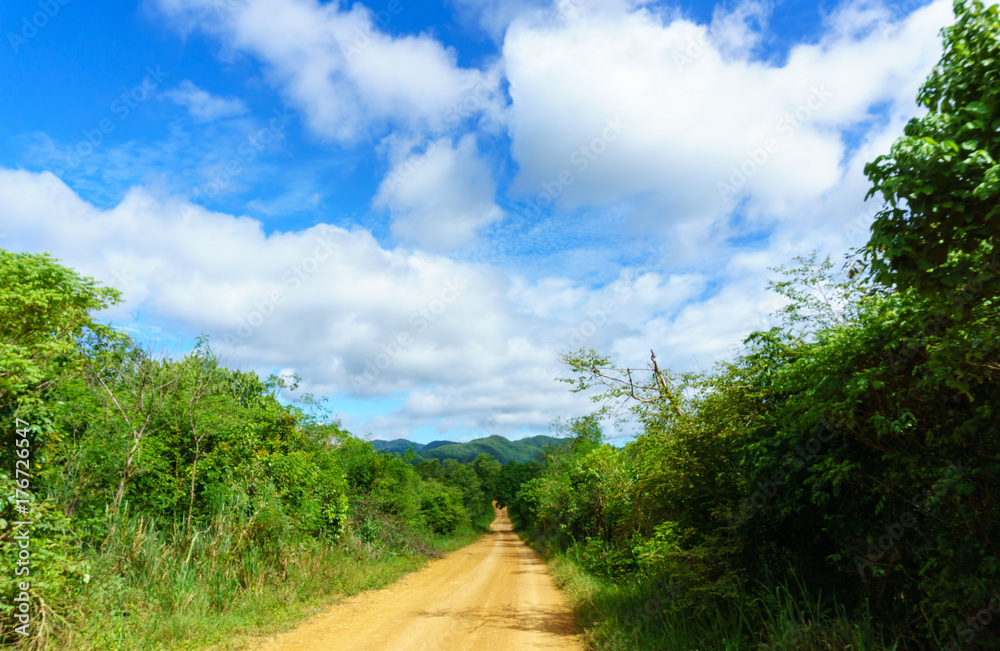 small rural dirt road and tree pathway in the jungle with blue sky and cloud at national park in sunny day.
