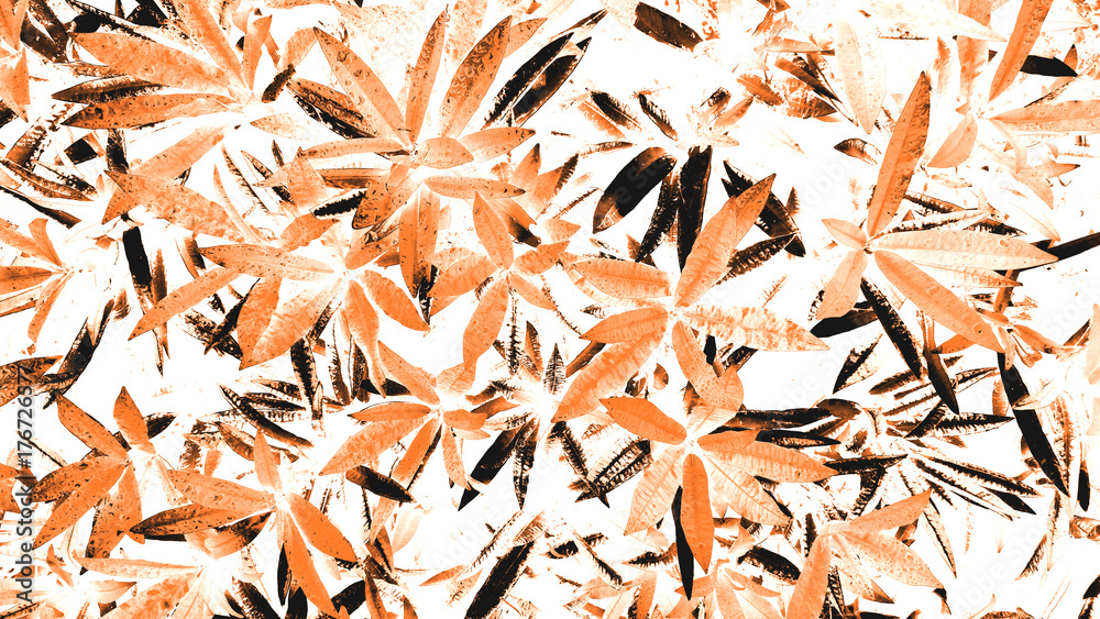 tropical leaf art and abstract background. tropical leaf art and abstract background.