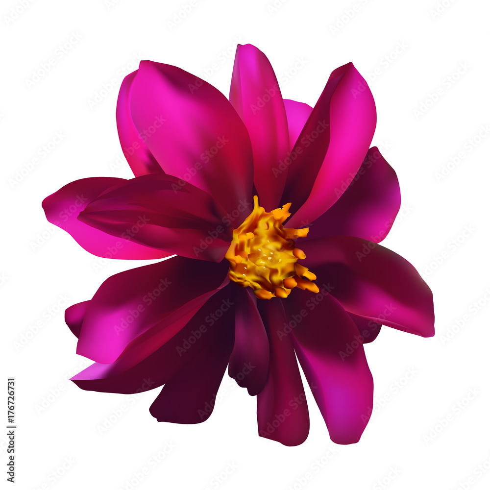 isolated single purple flower on white background, realistic gradient mesh floral vector illustration isolated single purple flower on white background, realistic gradient mesh floral vector illustration