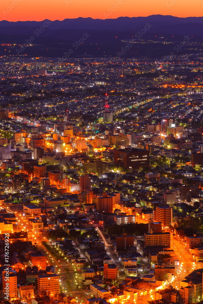 Fototapeta premium Hakodate night view