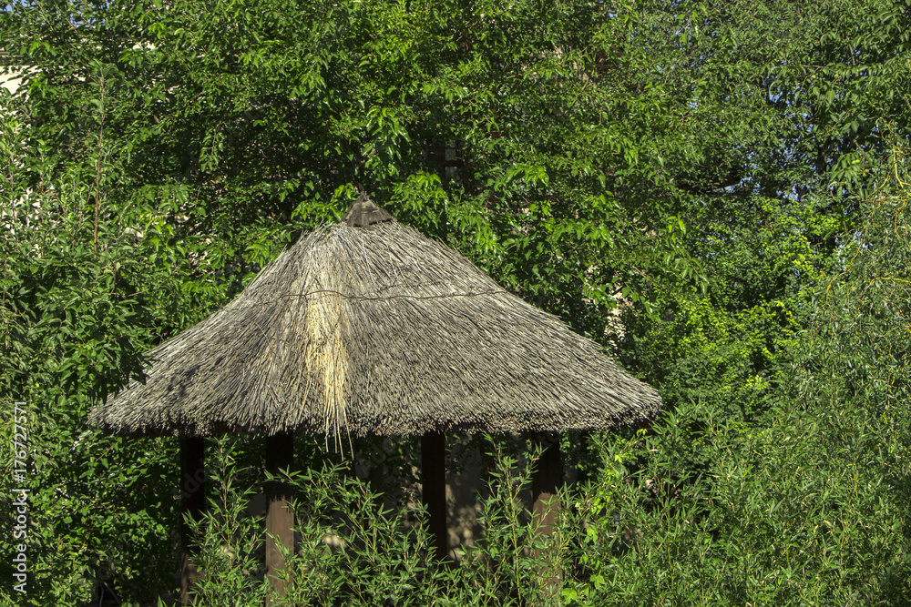 A house with a thatched roof against a background of green foliage A house with a thatched roof against a background of green foliage