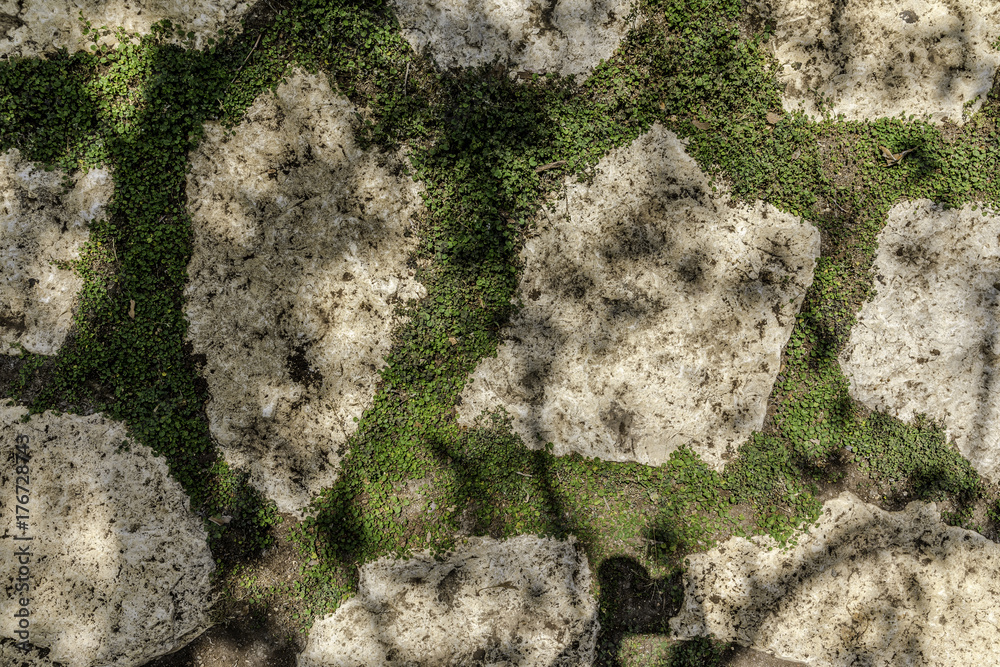 Fototapeta premium Footpath made of natural white uneven stones buried in soil with green vegetation background