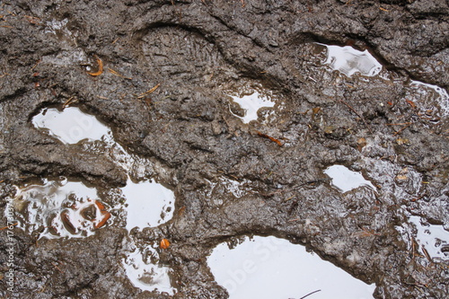 Fußspuren im Matsch