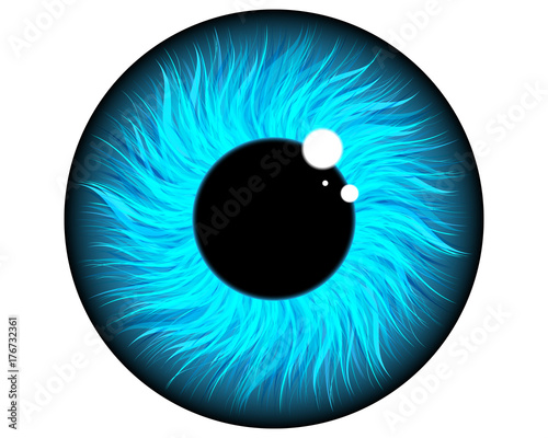 pupil of the eye