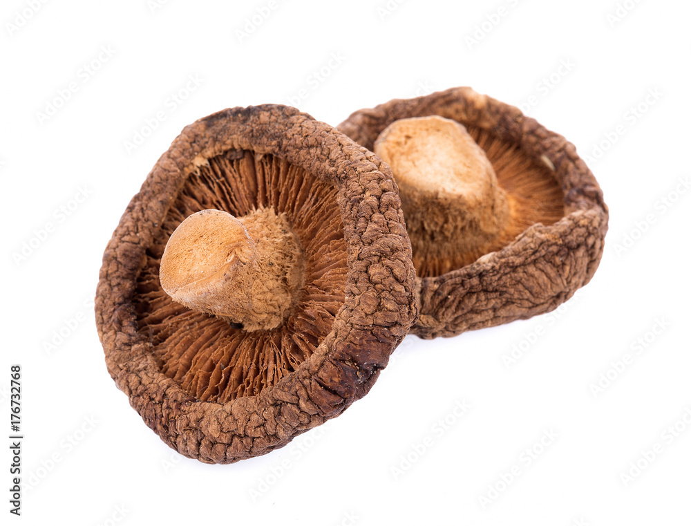 Dry Shiitake Mushrooms isolated on white background Dry Shiitake Mushrooms isolated on white background