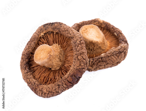 Dry Shiitake Mushrooms isolated on white background