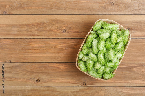 fresh green hops top view