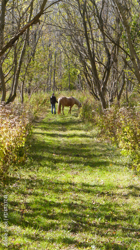 Woman walking horse on wooded trail