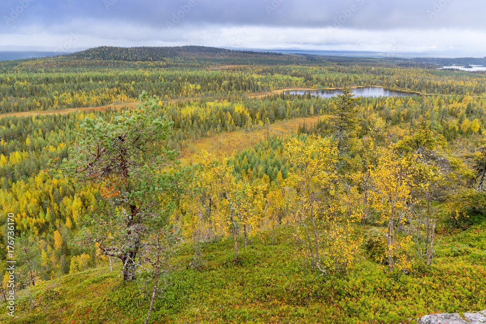 Mountains, forests, lakes view in autumn. Fall colors - ruska time in Konttainen. One part of Karhunkierros Trail. National park in Finland. Lapland, Nordic countries in Europe
