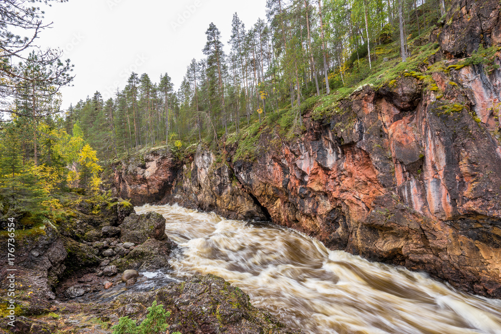 Red cliff, stone wall, forest, waterfall and wild river view in autumn. Fall colors - ruska time in Kiutaköngäs. One part of Karhunkierros Trail. Oulanka National Park, north Finland, Lapland, Europe Red cliff, stone wall, forest, waterfall and wild river view in autumn. Fall colors - ruska time in Kiutaköngäs. One part of Karhunkierros Trail. Oulanka National Park, north Finland, Lapland, Europe