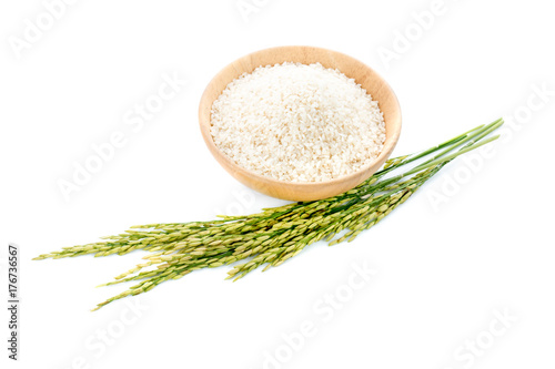 Thai jasmine ear rice isolated white background