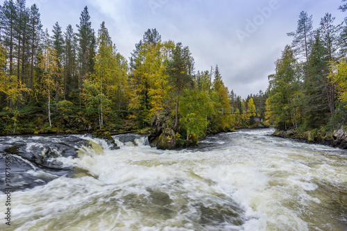 Cliff, stone wall, forest, waterfall and wild river view in autumn. Fall colors - ruska time in Myllykoski. One part of Karhunkierros Trail. Oulanka National Park in north Finland. Lapland, Europe