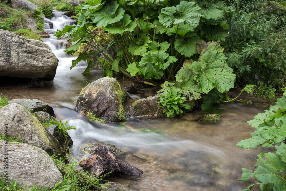 Mountain stream with stones with clear water Mountain stream with stones with clear water