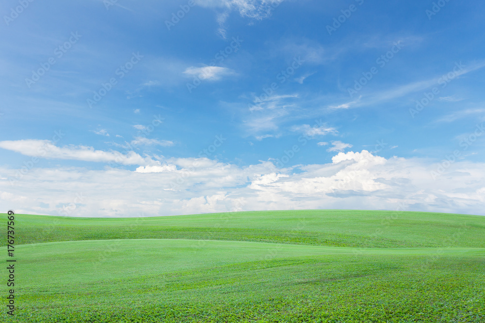 Green grass field with clear blue sky and cloud background.