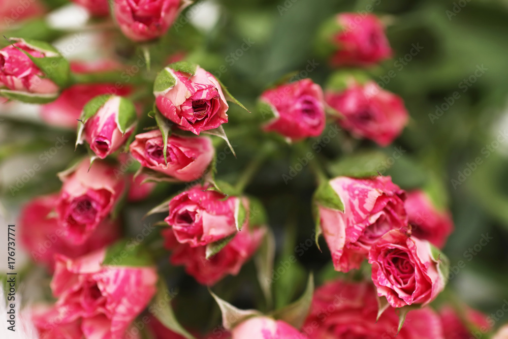 Bouquet of red roses on a white background