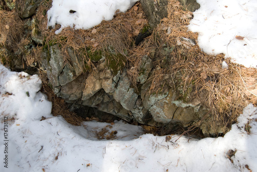 Obraz na płótnie Roots of a pine at a slope of a mountain, winter, the Urals, Russia w salonie