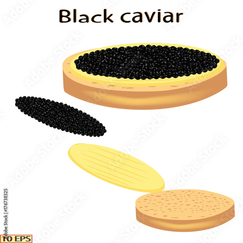 Red caviar and black. Salmon caviar and sturgeon caviar. Sandwich with caviar isolated on white background.  Vector illustration.