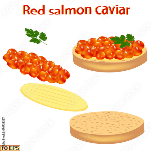 Red caviar and black. Salmon caviar and sturgeon caviar. Sandwich with caviar isolated on white background.  Vector illustration.