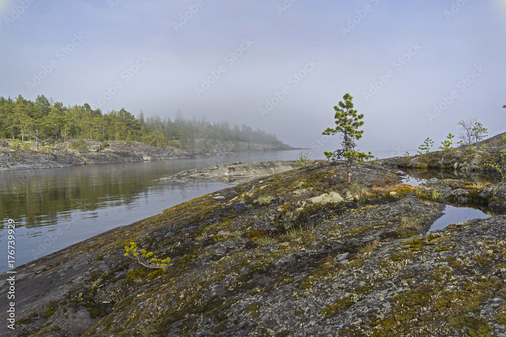 Fog in Ladoga skerries. Karelia, Russia.