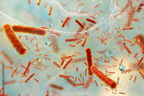 Antibiotic resistant bacteria inside a biofilm, 3D illustration. Biofilm is a community of bacteria where they aquire antibiotic resistance and communicate with each other by quorum sensing molecules photo
