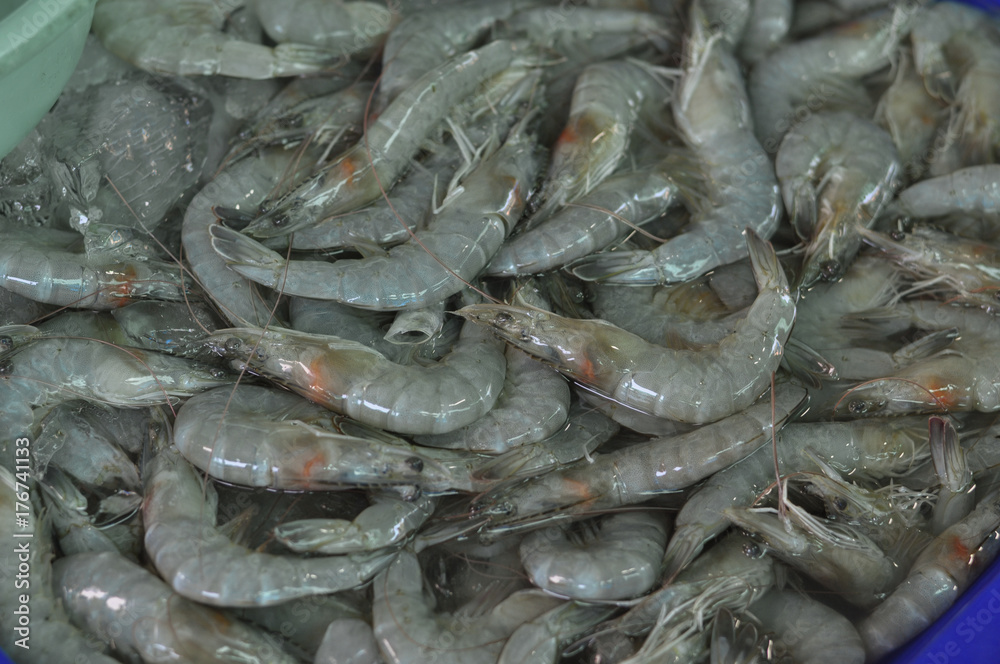 Shrimp is sold in the seafood market