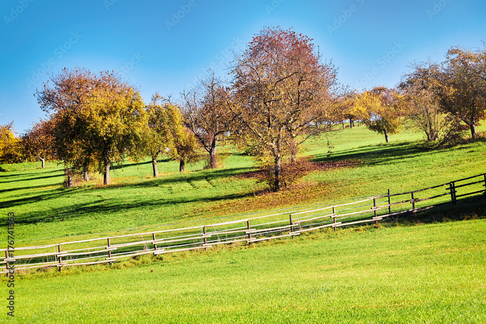 Autumn landscape, countryside hippodrome