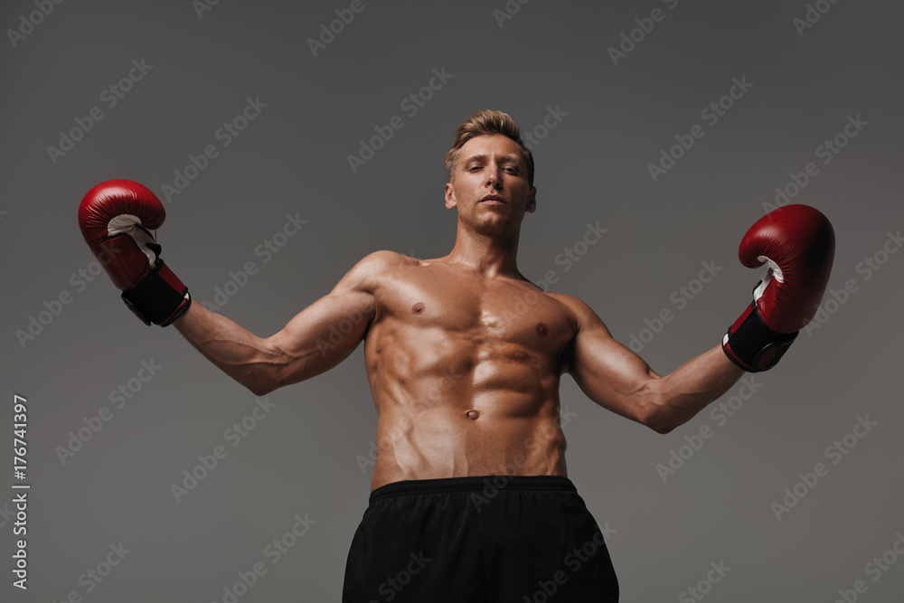 Confident boxer on gray background Confident boxer on gray background