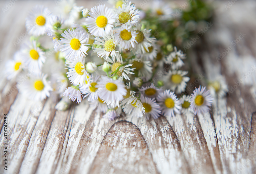 Obraz premium Daisies bouquet on rustic wooden Background with copy space