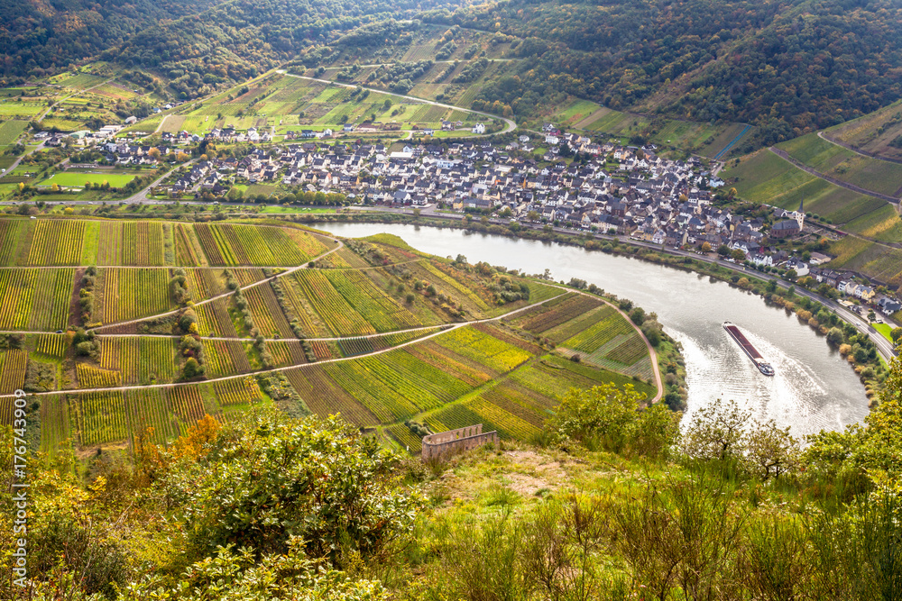 Autumnal Moselle landscape at Bremm Calmont region Germany