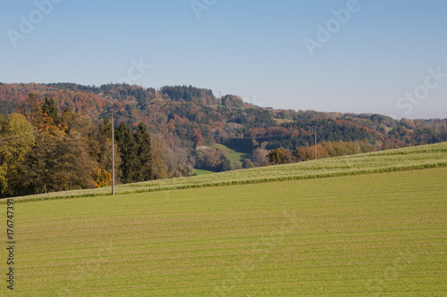 field in autumn with small plants