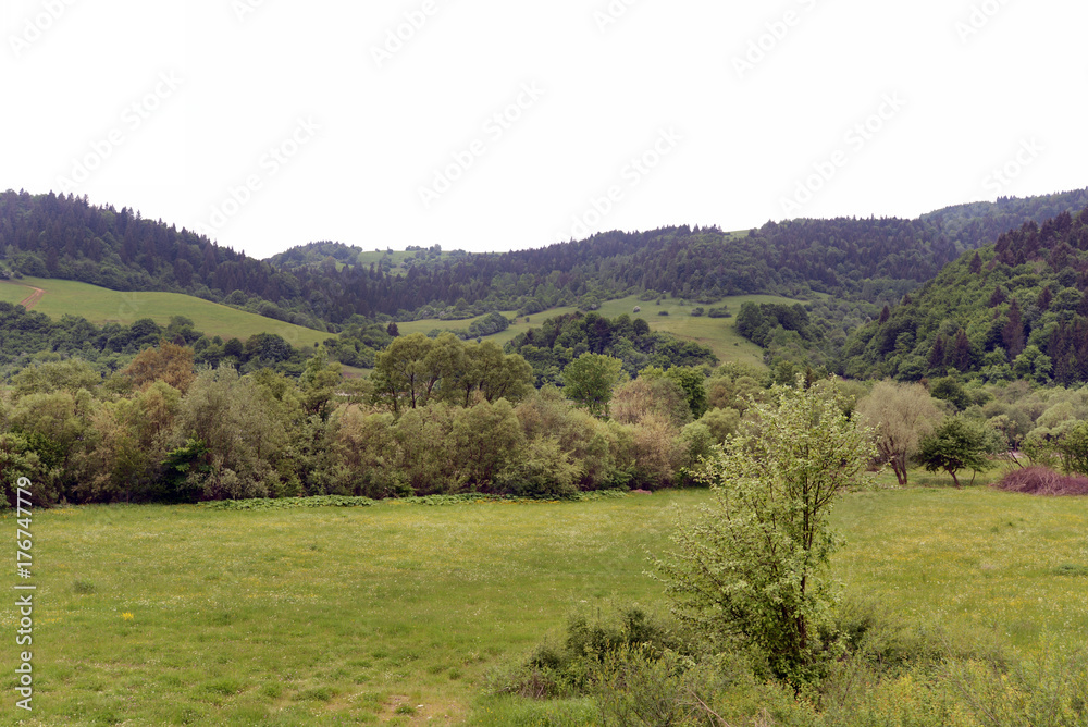 Beautiful gorge among the mountains covered with green vegetation and trees in the spring Beautiful gorge among the mountains covered with green vegetation and trees in the spring