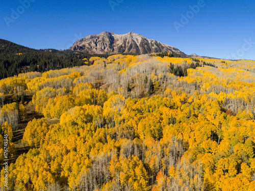 East Beckwith Fall Color