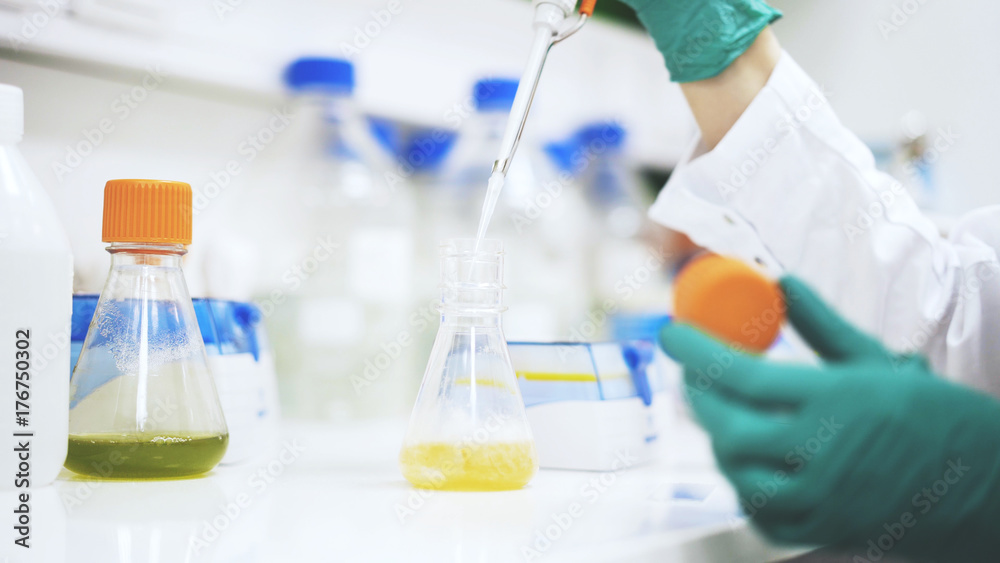 Close up of ladyscientist s hands taking some yellow liquid to examine under a microscope. Close up of ladyscientist s hands taking some yellow liquid to examine under a microscope.