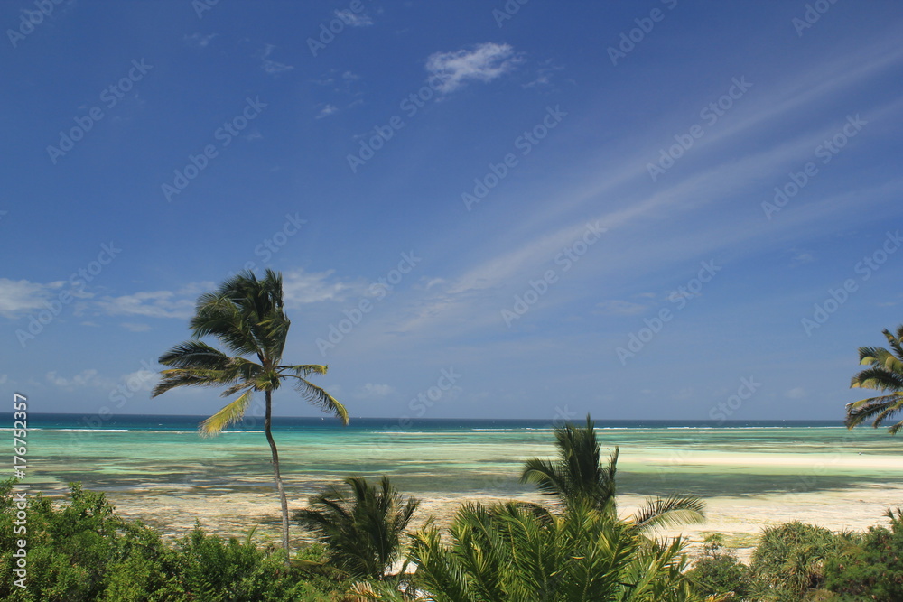 Tropical Zanzibar