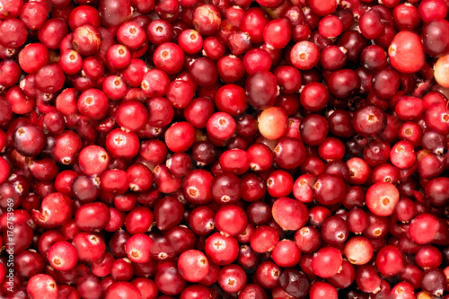 Background from ripe red cranberries.