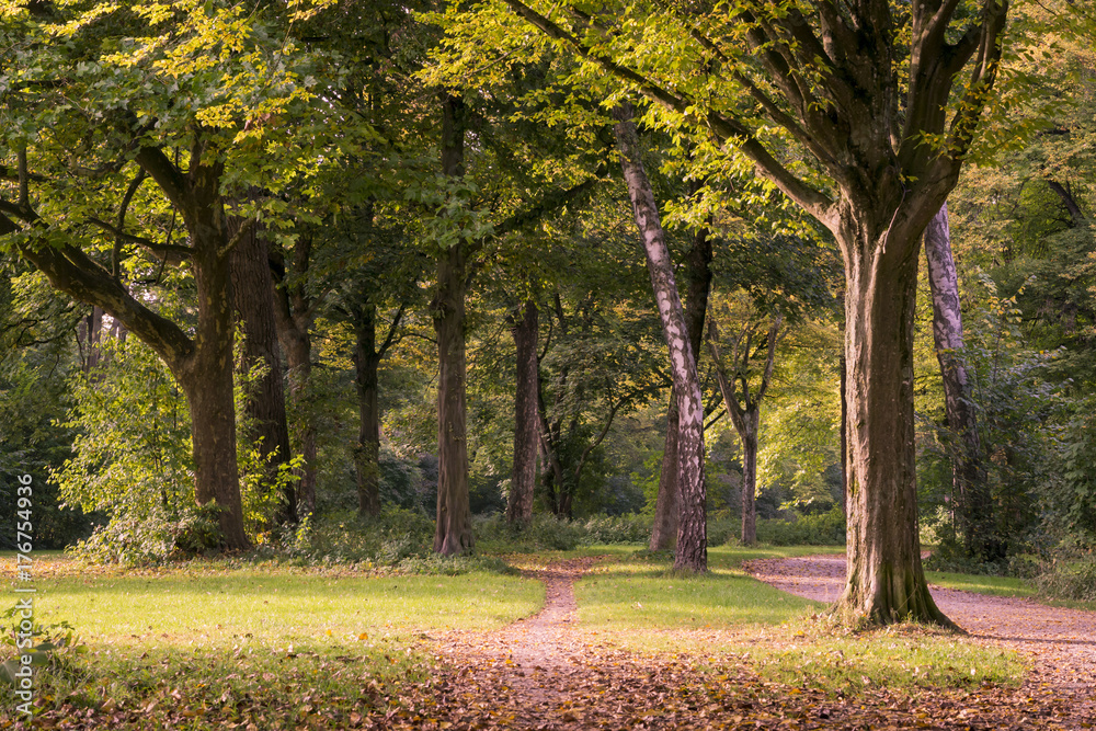Naklejka premium Park im Herbst