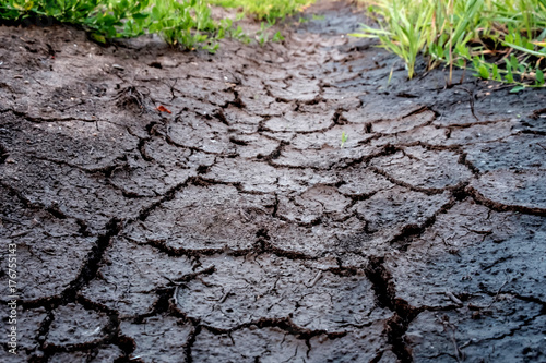 cracked earth drought