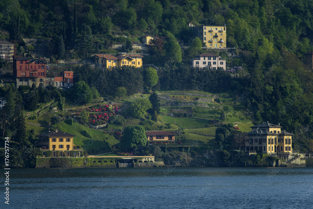 .Lombardy; Lake Como, Blevio, gardens.