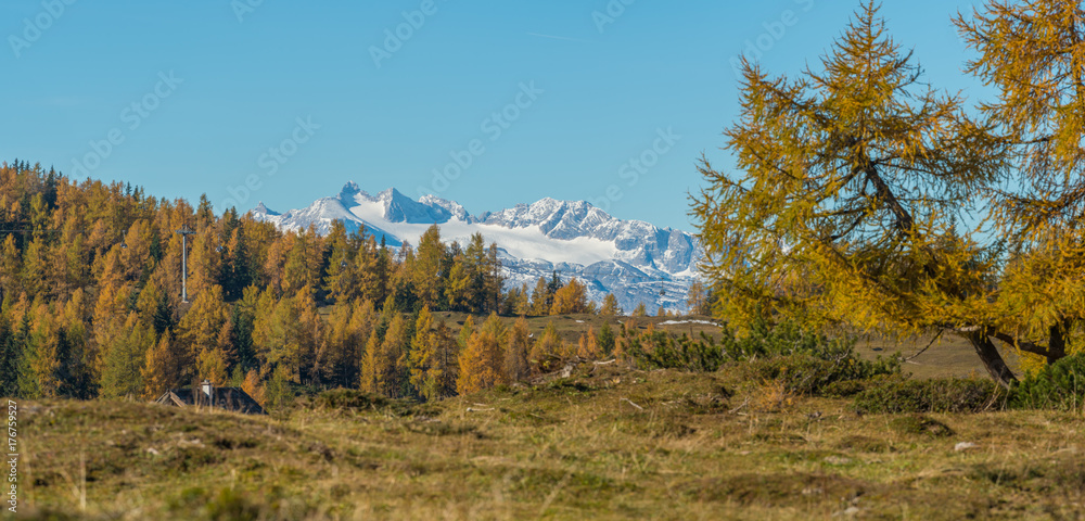 autumn forest with glacier in background