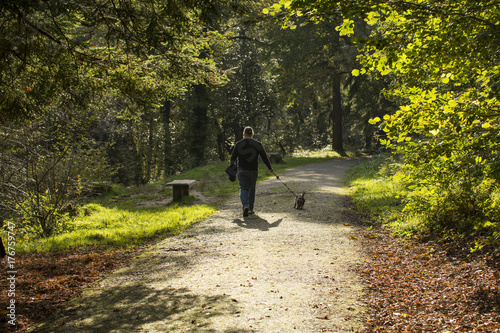 A man enjoys a stroll with his dog through a park in the autumn sunshine, cornwall, uk