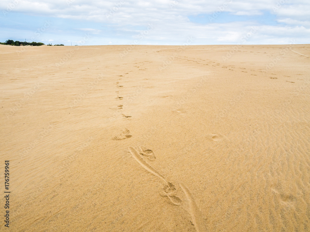 Landscape of Jockey's Ridge State Park Landscape of Jockey's Ridge State Park