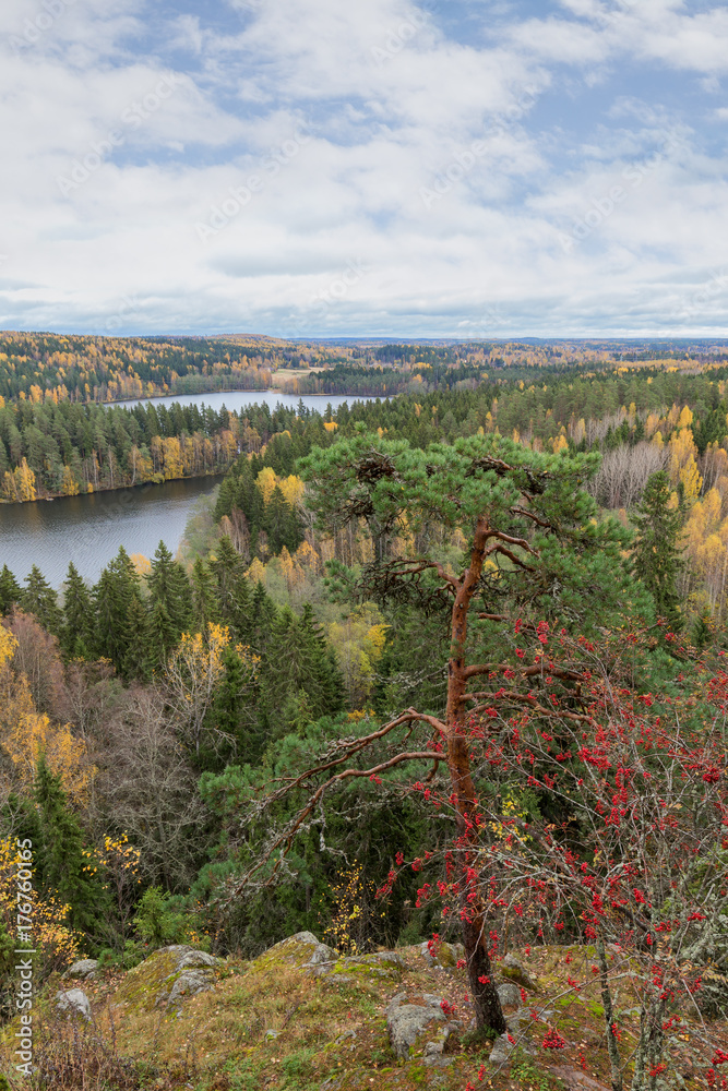 Scenic view of a lake and forest in autumn colors from above at the Aulanko national park in Hämeenlinna, Finland.