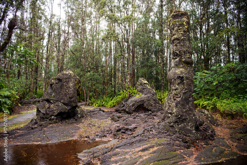 Lava Tree State Monument  Big Island  Hawaii