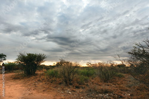Kalahari desert 